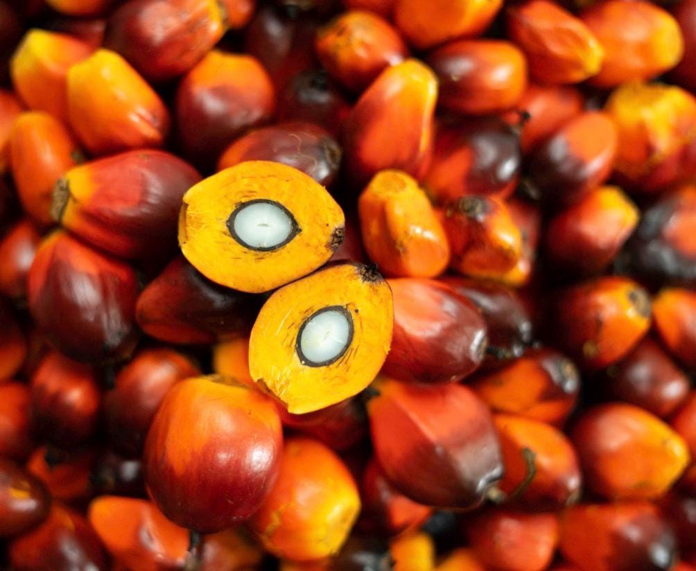 Praise Palm Cream Concentrate | Palm Nut Cream for African Soup | Authentic Ghana Palm Cream | Nigerian & West African Cooking Ingredient